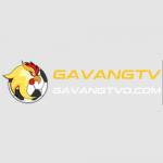 gavang tv Profile Picture