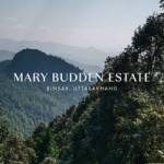 Mary budden Profile Picture