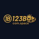 123b comspace Profile Picture