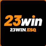 23WIN esq Profile Picture