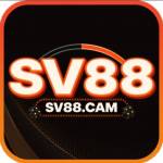SV88 cam Profile Picture
