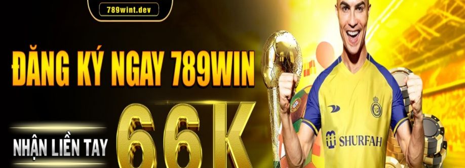 789WINt dev Cover Image