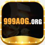 999aogorg 999aogorg Profile Picture