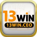 13Win Ceo Profile Picture