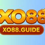 xo88 guide Profile Picture