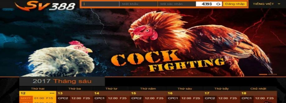 sv388y org Cover Image