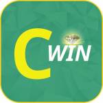 cwin design Profile Picture