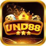 VND88 Profile Picture