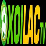 Mintatlorg fake website Profile Picture