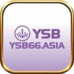 YSB66 ASIA Profile Picture