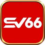 SV66 GLOBAL Profile Picture