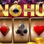 nohulive co Profile Picture