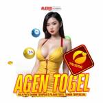 agen togel Profile Picture