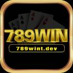 789WINt dev Profile Picture