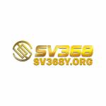 sv368y org Profile Picture