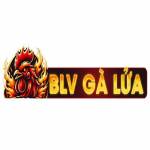 BLV GÀ LỬA Profile Picture