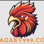 DAGAKV 999 Profile Picture