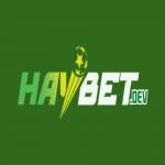 Nhà Cái HAYBET Profile Picture