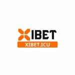 XIBET Profile Picture