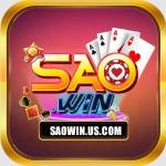 SAOWIN US Profile Picture