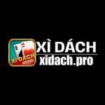 Xì Dách Trực Tuyến Profile Picture