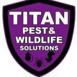 Titan Pest Wildlife Solutions Profile Picture