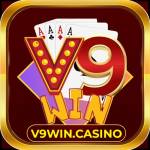 V9 win Profile Picture