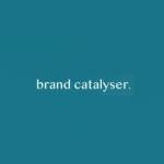 Brand catalyser Profile Picture