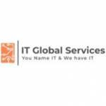 IT Global Services Profile Picture