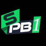 SPB808 Portal game Profile Picture