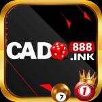 Cado888 ink Profile Picture