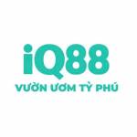 iq88city Profile Picture
