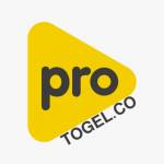 ProtoGel Bandar Togel Online Profile Picture