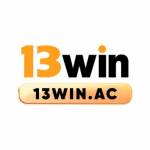 13winac Profile Picture