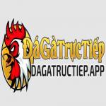 Đá gà trực tiếp Nền tảng xem đá gà Profile Picture