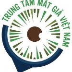 Phẫu thuật múc nội nhãn Profile Picture