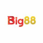 BIG88 Link Trang Chủ BIG88 com Profile Picture