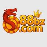 88I BZ Profile Picture