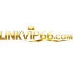 LINKVIP66 COM Profile Picture