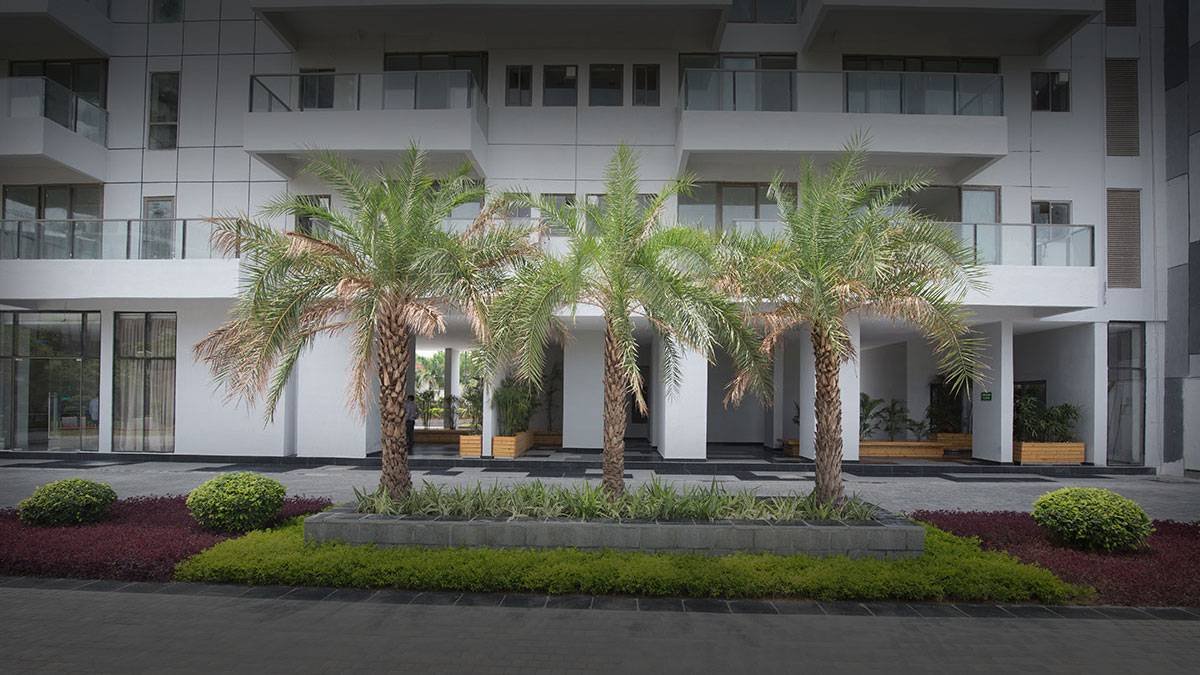 Realty Hunting : Best Real Estate Company