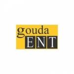 goudaent goudaent Profile Picture