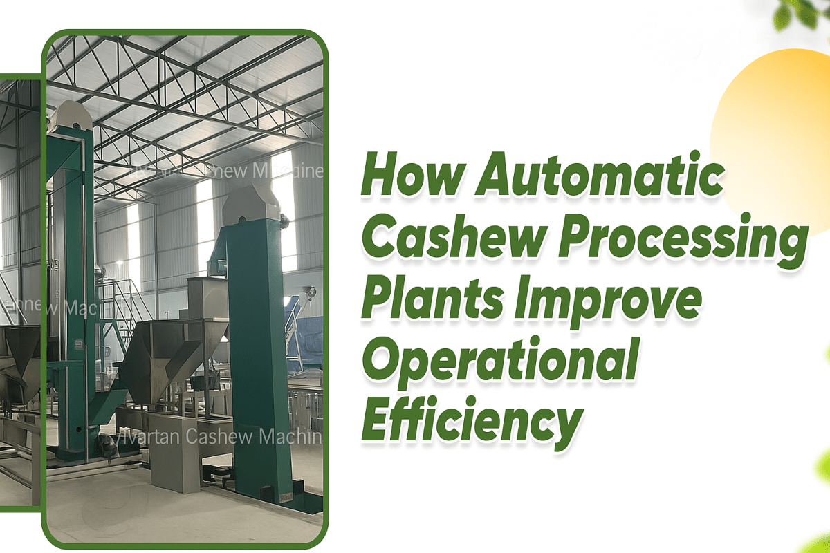 How Automatic Cashew Processing Plants Improve Operational Efficiency