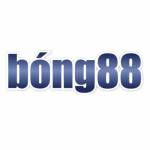 bong88o com Profile Picture