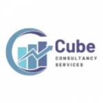 Cube Consultant Profile Picture