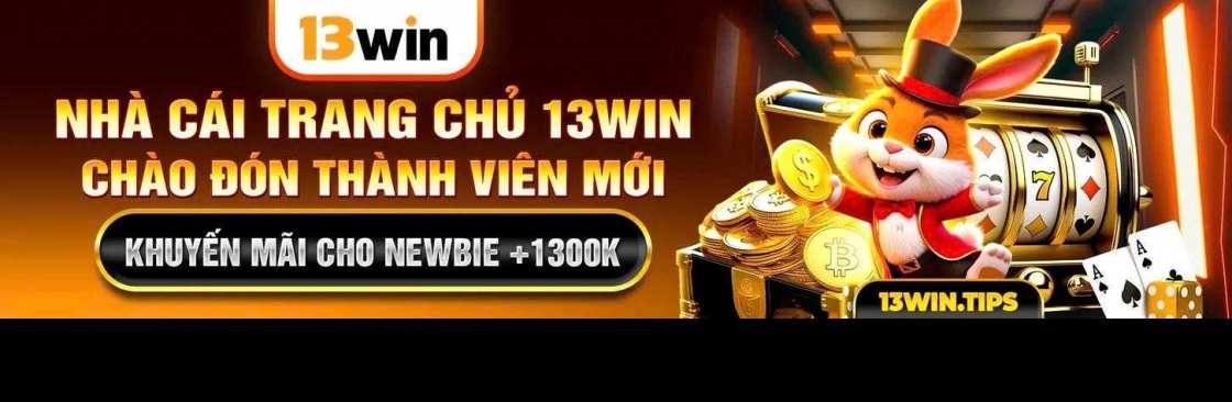 13WIN Cover Image
