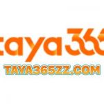 TAYA365 Profile Picture