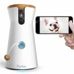 Furbo Dog Camera Profile Picture