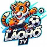 Lão Profile Picture