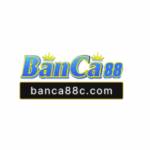 Nhà cái Banca88 Profile Picture
