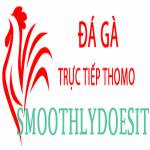 Đá Gà Trực Tiếp Thomo Profile Picture